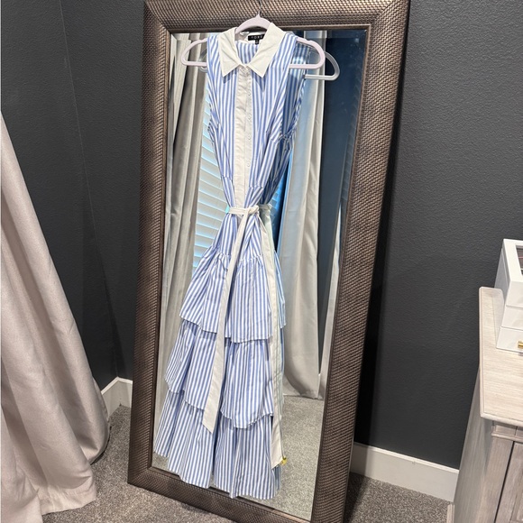 Striped Oxford Maxi Dress - Picture 7 of 7